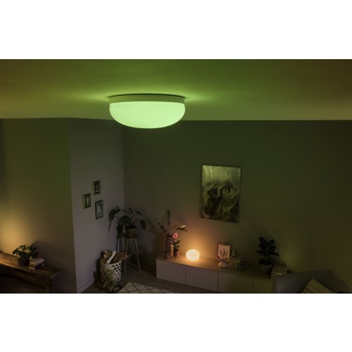Philips 929003053501 Hue Flourish Plafondlamp Wit White Color - Goedkoper Met LED